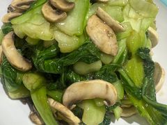 口蘑小青菜-第一驴.经典老菜.家常菜.火锅(友谊路店)