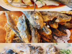 翘嘴鲌鱼-丹江渔村(望京店)