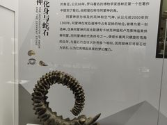 -贝壳王国博物馆
