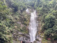 -鼎湖山风景区
