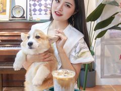 -柯斗斗主题餐厅·狗咖·围炉煮茶·茶饮(国瑞升平里店)