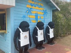 -漳州滨海火山岛自然生态风景区