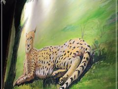 -南美豹国际自助百汇(万象城店)