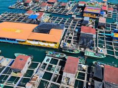 -蓝湾碧波·老字号·疍家非遗海上餐厅