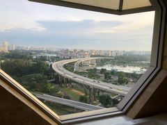 浴室窗外-新加坡丽思卡尔顿美年酒店