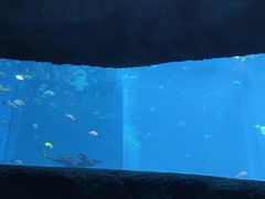 -南昌海洋公园