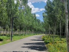 -东郊湿地公园