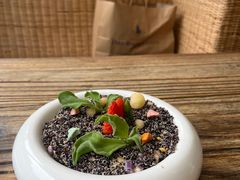 -素心小筑(后沙裕镇店)