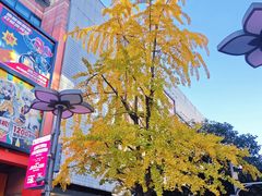 -黄兴南路步行商业街