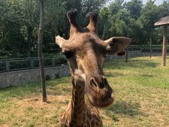 -石家庄市动物园