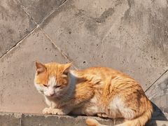 -山由之cafe&meal(小寨店)