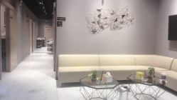 -三只熊皮肤管理中心