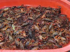 -海盗船. 龙虾烧烤. 酒馆