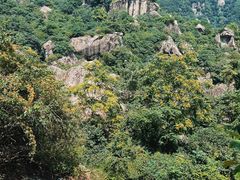 -秦岭终南山世界地质公园翠华山景区