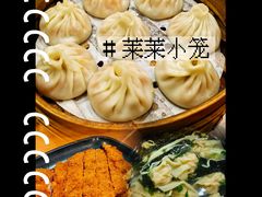 -莱莱小笼·乔艾