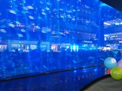 -成都浩海立方海洋公园