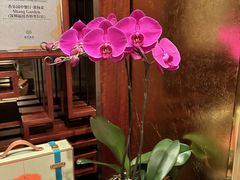 -香乐园·淮扬菜中餐厅·Shang Garden(福田香格里拉店)