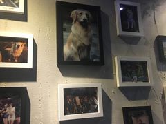 -百好乐宠物友好餐厅(朝外大街店)