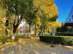 -北京国家会计学院