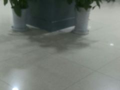 -上海市第五人民医院