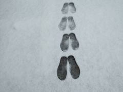 -中国人民解放军联勤保障部队第九〇三医院(九里松院区)