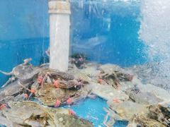 -桔子海鲜烧烤大排档(金沙滩店)