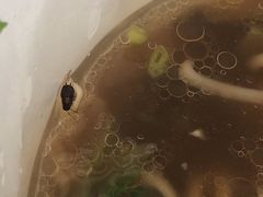 -车沾巷·重庆老味豌杂面