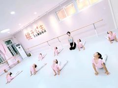 -桃子公主舞蹈培训(万柳校区)