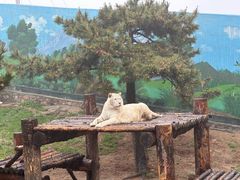 -西霞口神雕山野生动物世界