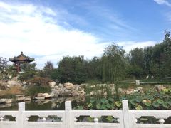 -武清南湖绿博园