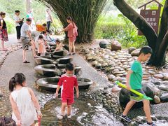-成都市活水公园