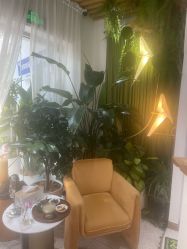 -薇薇安花系SPA