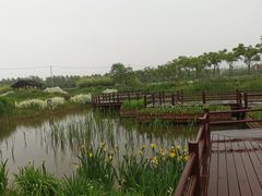 -上海长兴岛郊野公园