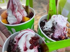 -Salud撒露欧洲冻酸奶(蓝色港湾店)