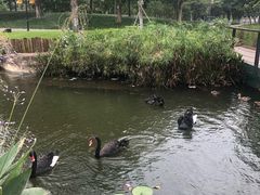 -映月湖公园