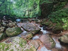 -五女峰国家森林公园