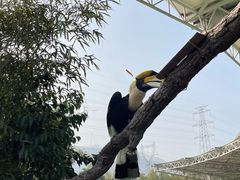 -太湖龙之梦