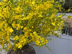 -双季花艺园艺市场(浦东店)