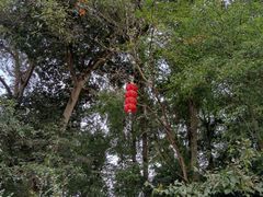 -杭州西湖风景名胜区-三生石