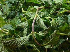 -恋羊时代黑山羊火锅(滨海大道店)