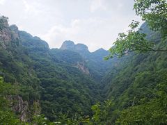 -雾灵西峰