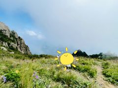 -白草畔自然风景区