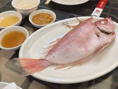 -吴记富苑(朝阳店)