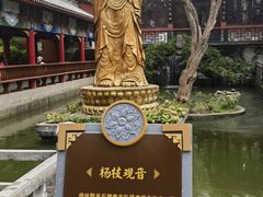 -黔灵山公园