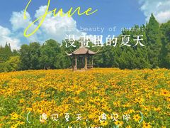 -上海滨江森林公园