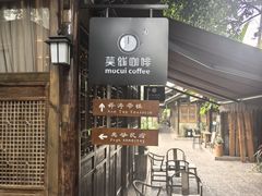-莫催咖啡