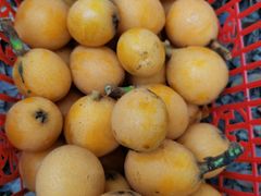 -塘栖枇杷特色园区