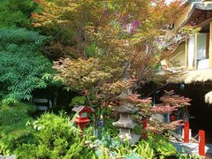 -翠湖里(翠湖南路店)