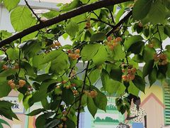 -玉林生活广场