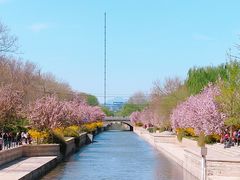 -元大都城垣遗址公园